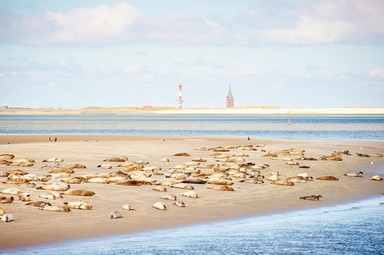 Jugendherberge Wangerooge Wangerooge Island Luaran gambar